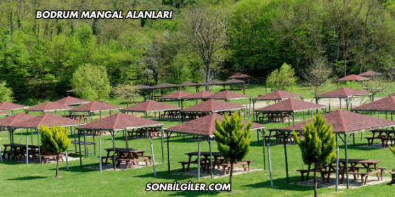 Bodrum Mangal Alanları