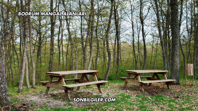 Bodrum Mangal Alanları