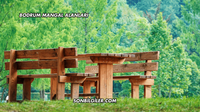 Bodrum Mangal Alanları