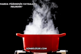 Buharda Pişirmenin Faydaları Nelerdir?