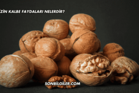 Cevizin Kalbe Faydaları Nelerdir?