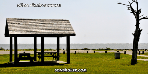 Düzce Piknik Alanları