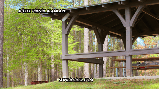 Düzce Piknik Alanları