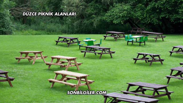 Düzce Piknik Alanları