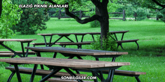 Elazığ Piknik Alanları