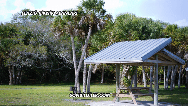 Elazığ Piknik Alanları