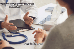 Hamilelikte Siyah Erik Faydaları Nelerdir?