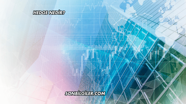 Hedge Nedir?