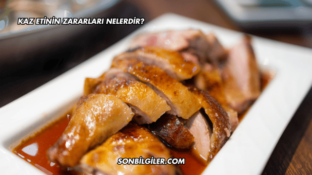 Kaz Etinin Zararları Nelerdir?