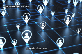 Organik Hit Nedir?
