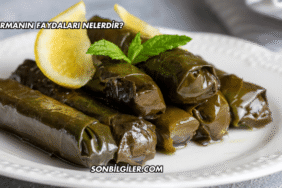 Sarmanın Faydaları Nelerdir?