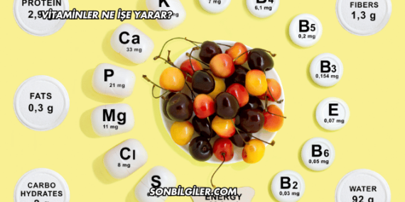 Vitaminler Ne İşe Yarar?