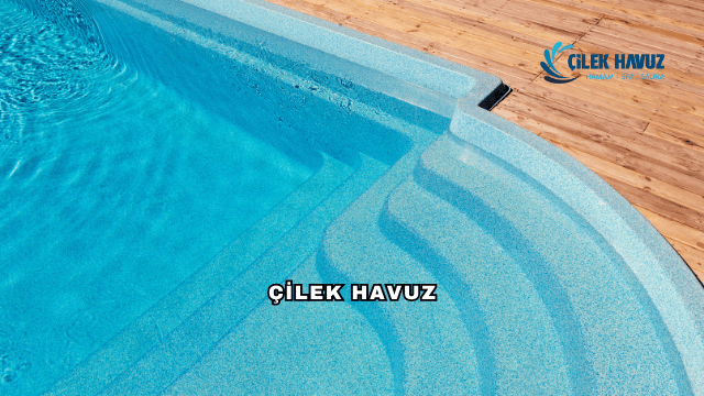 Çilek Havuz Hakkında Detaylı Rehber