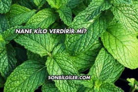 Nane Kilo Verdirir mi?